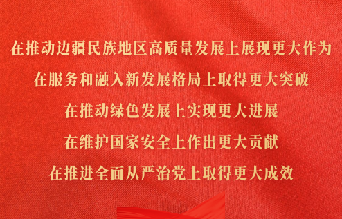 在推動邊疆民族地區高質量發展上展現更大作為，在服務和融入新發展格局上取得更大突破，在推動綠色發展上實現更大進展，在維護國家安全上作出更大貢獻，在推進全面從嚴治黨上取得更大成效